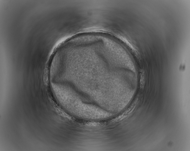 X0000097761358200803281624