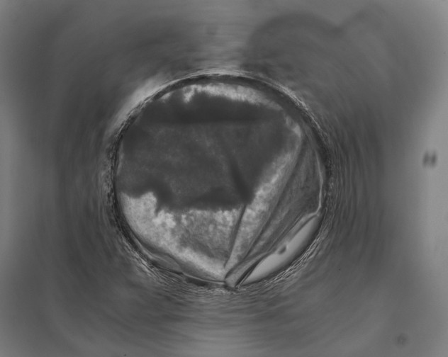 X0000097761359200803281624