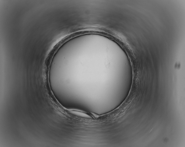 X0000097761360200803281624