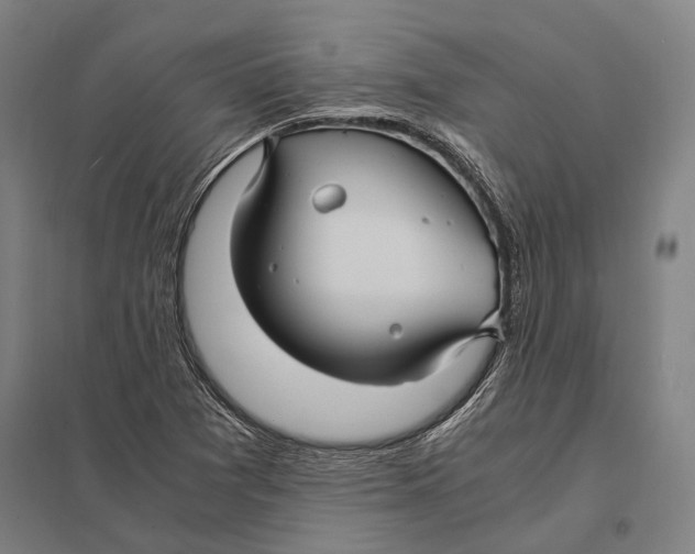 X0000097761361200803281624