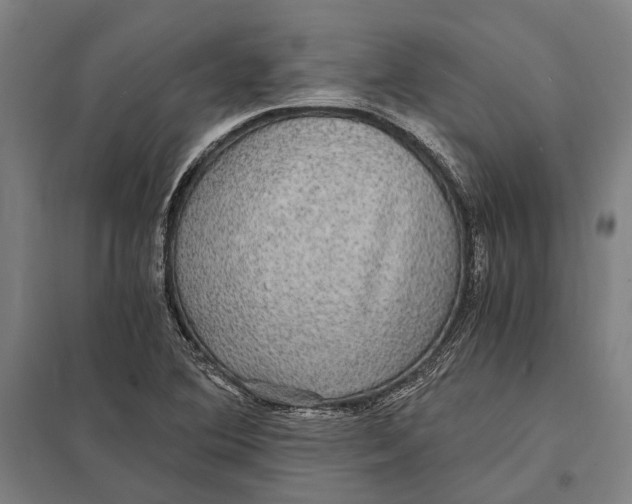 X0000097761364200803281624