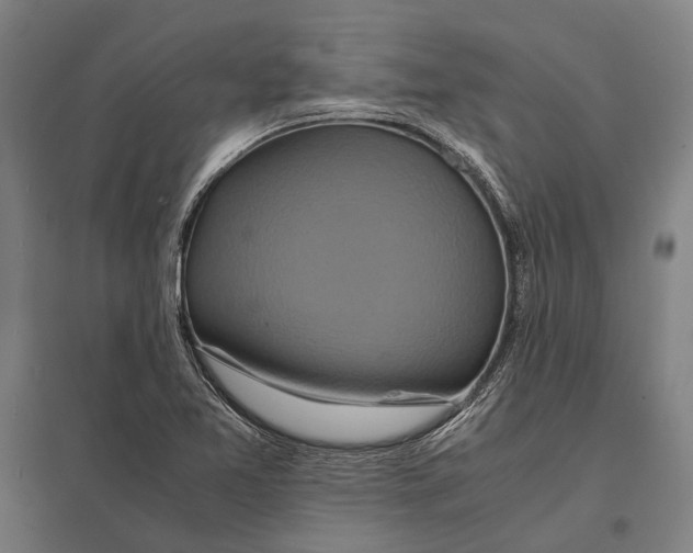 X0000097761365200803281624