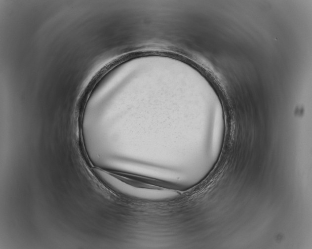 X0000097761368200803281624