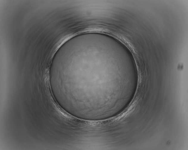 X0000097761369200803281624