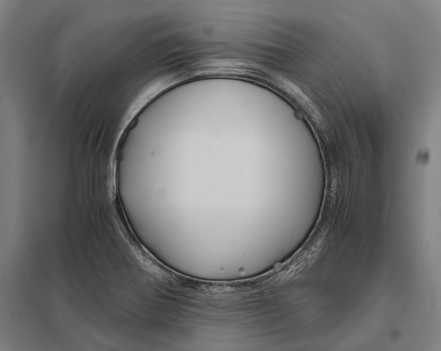 X0000097761370200803281624