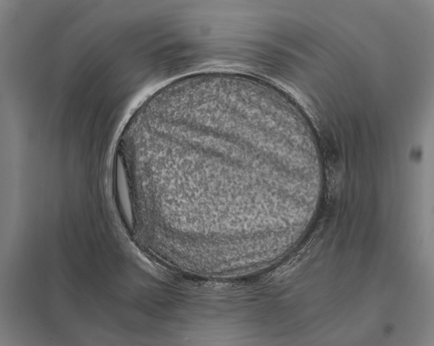 X0000097761371200803281624