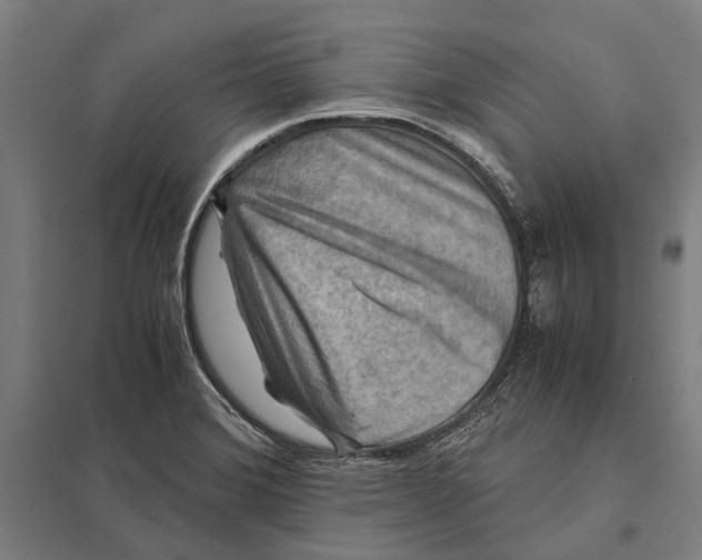 X0000097761372200803281624