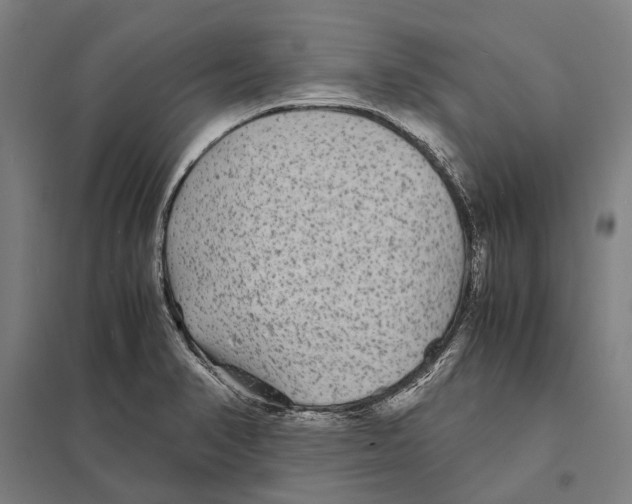 X0000097761374200803281624