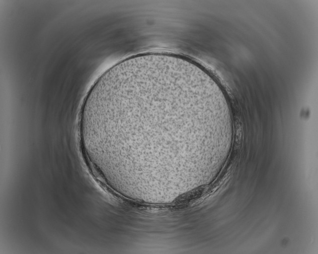 X0000097761375200803281624