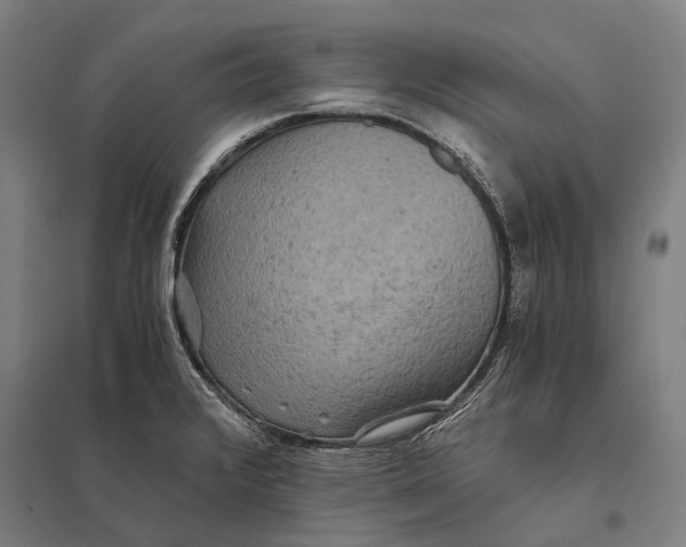 X0000097761376200803281624