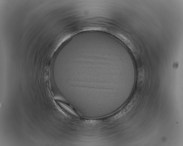 X0000097761377200803281624