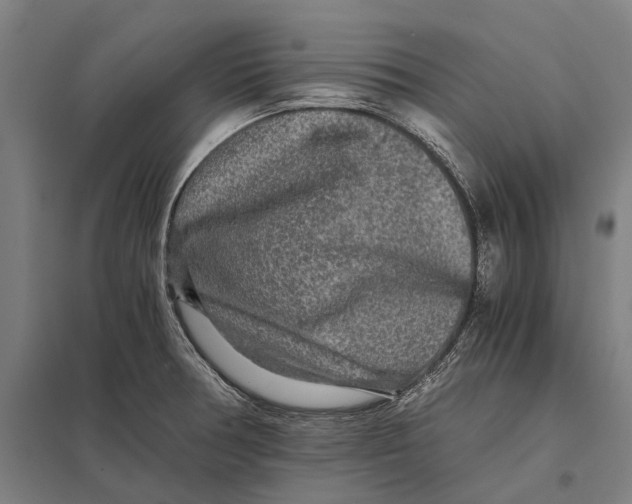 X0000097761378200803281624