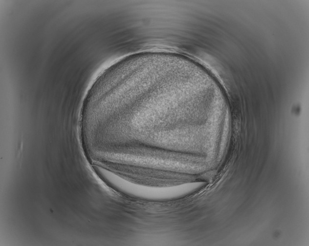 X0000097761379200803281624