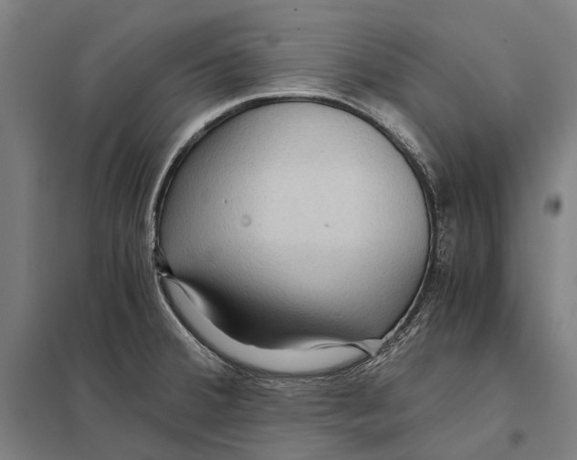 X0000097761380200803281624