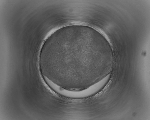 X0000097761381200803281623