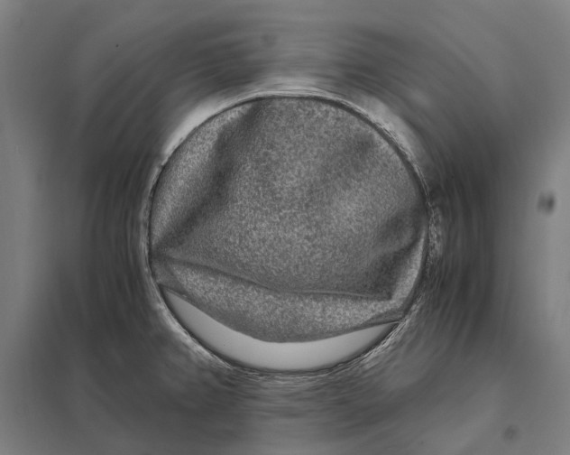 X0000097761382200803281623