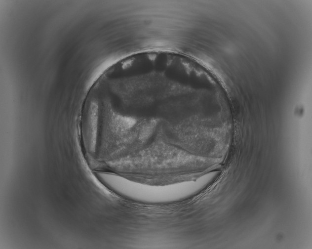 X0000097761383200803281623