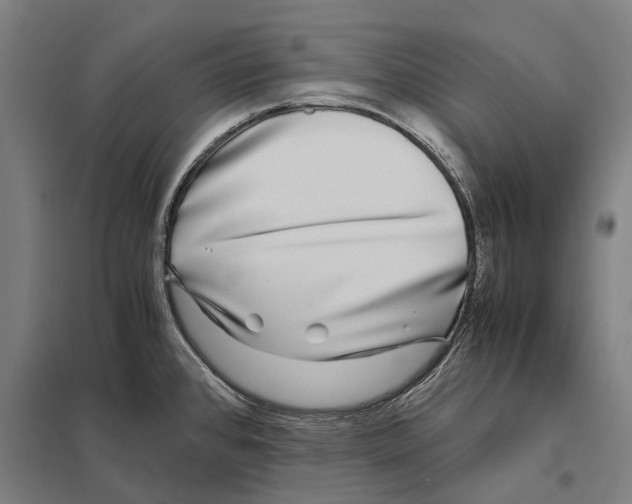 X0000097761384200803281623