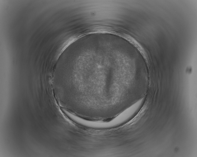 X0000097761385200803281623