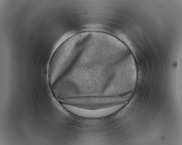 X0000097761386200803281623