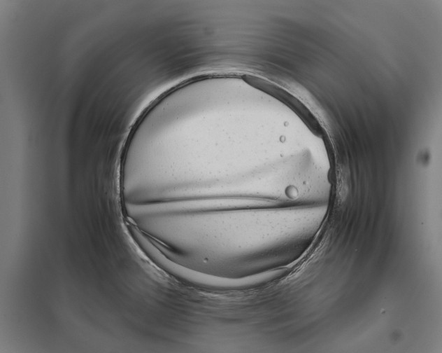 X0000097761388200803281623