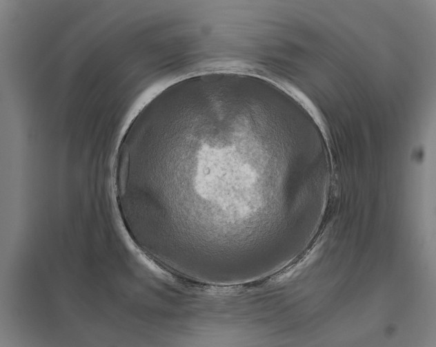 X0000097761389200803281623