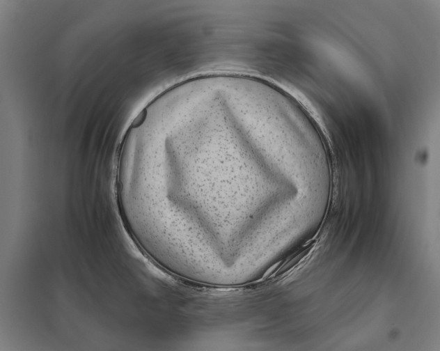 X0000097761390200803281623