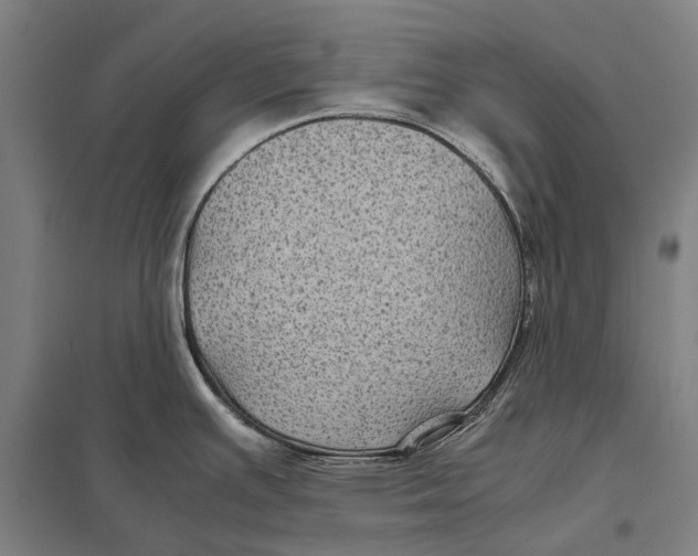 X0000097761391200803281623