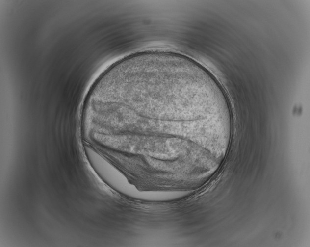 X0000097761392200803281623