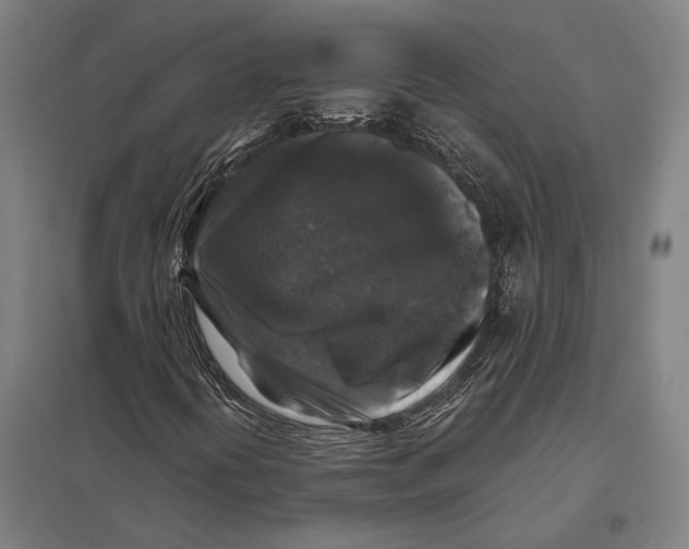 X0000097761394200803281623