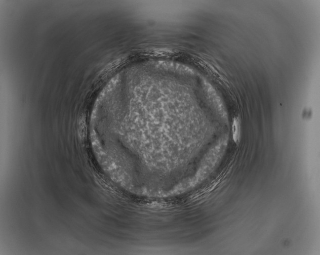 X0000097761395200803281623