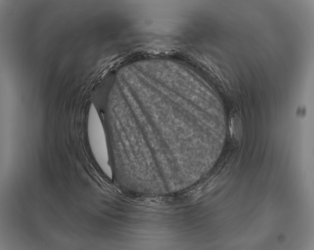 X0000097761396200803281623