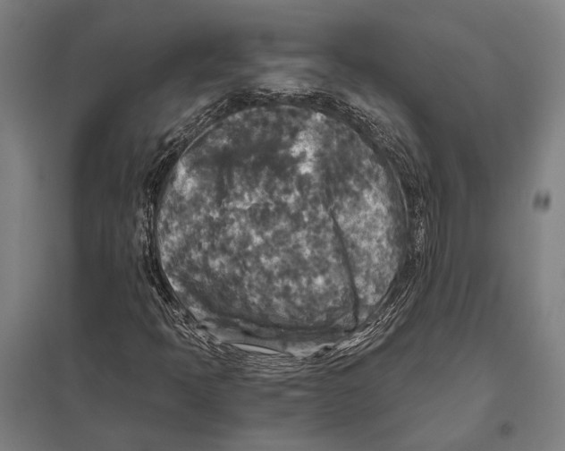 X0000097761397200803281623