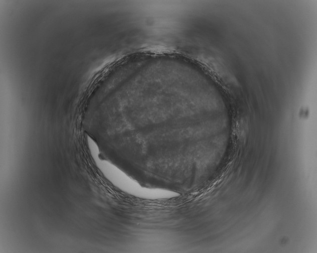 X0000097761398200803281623