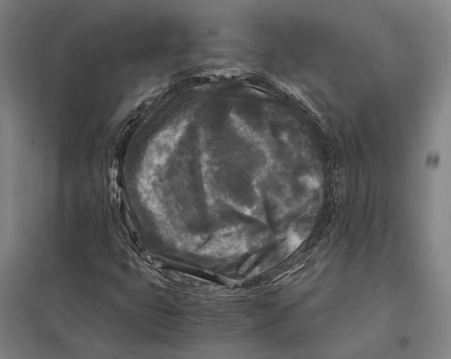 X0000097761399200803281623