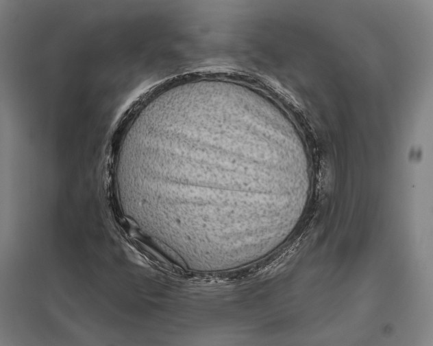 X0000097761400200803281623