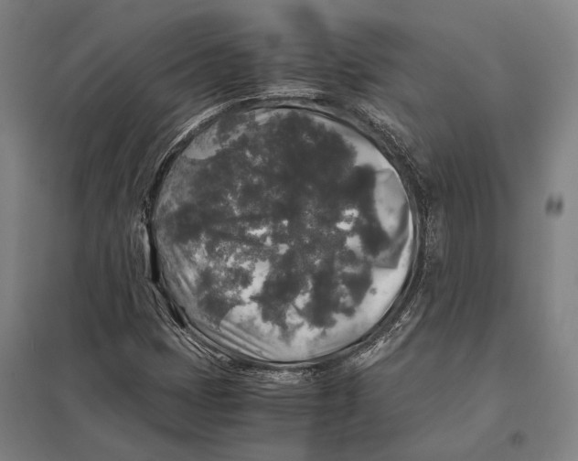 X0000097761401200803281623