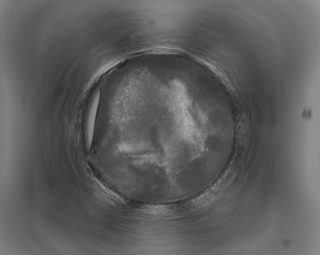 X0000097761402200803281623