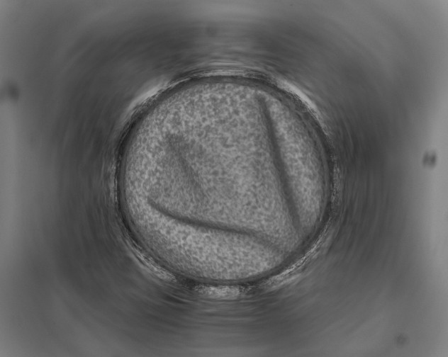 X0000097761403200803281623