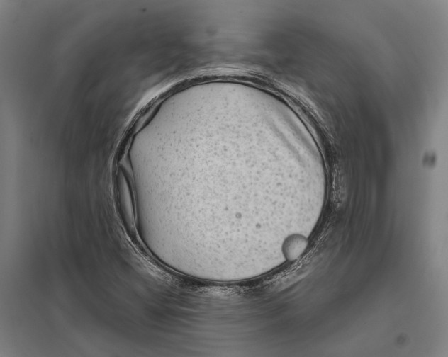 X0000097761404200803281623