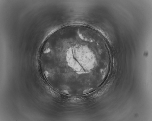 X0000097761405200803281623