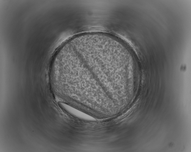 X0000097761407200803281623