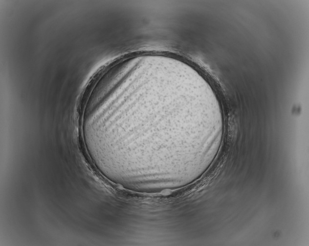 X0000097761408200803281623