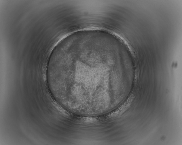 X0000097761409200803281623