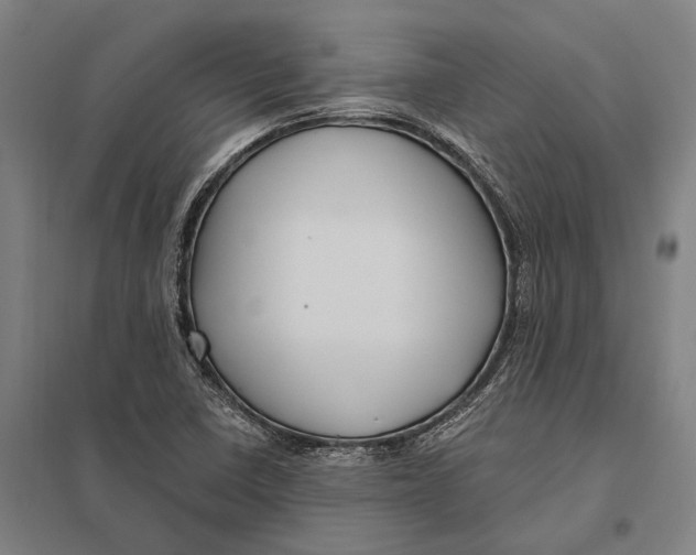 X0000097761410200803281623