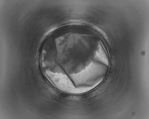 X0000097761411200803281623