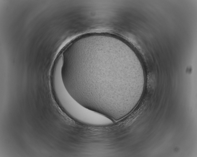 X0000097761412200803281623