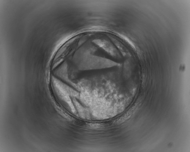 X0000097761413200803281623