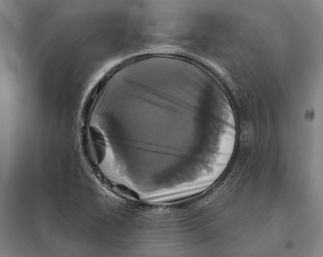 X0000097761414200803281623