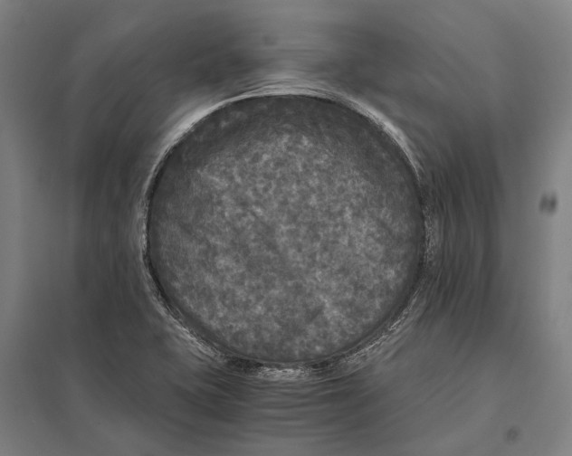 X0000097761415200803281623